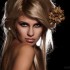 Direct Openers – Bold, Sexy and You